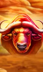 Buffalo Hold and Win Extreme
